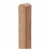 Tetzner_Jentzsch_Pfosten_Sichtschutzzaun_4024785264408_2